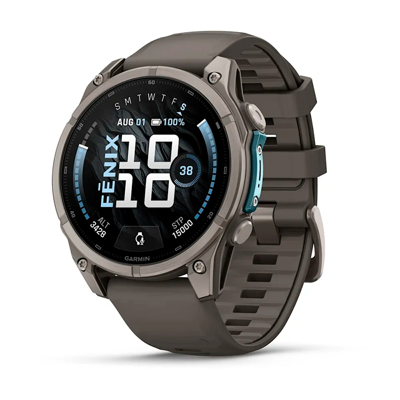 Умные часы Garmin Fenix 9 47mm, Titanium with Pebble Gray Silicone Band