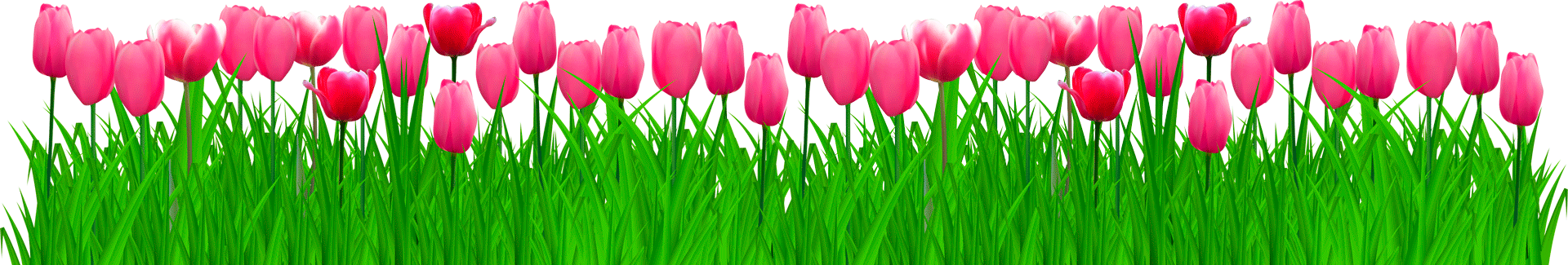 Внизу страницы