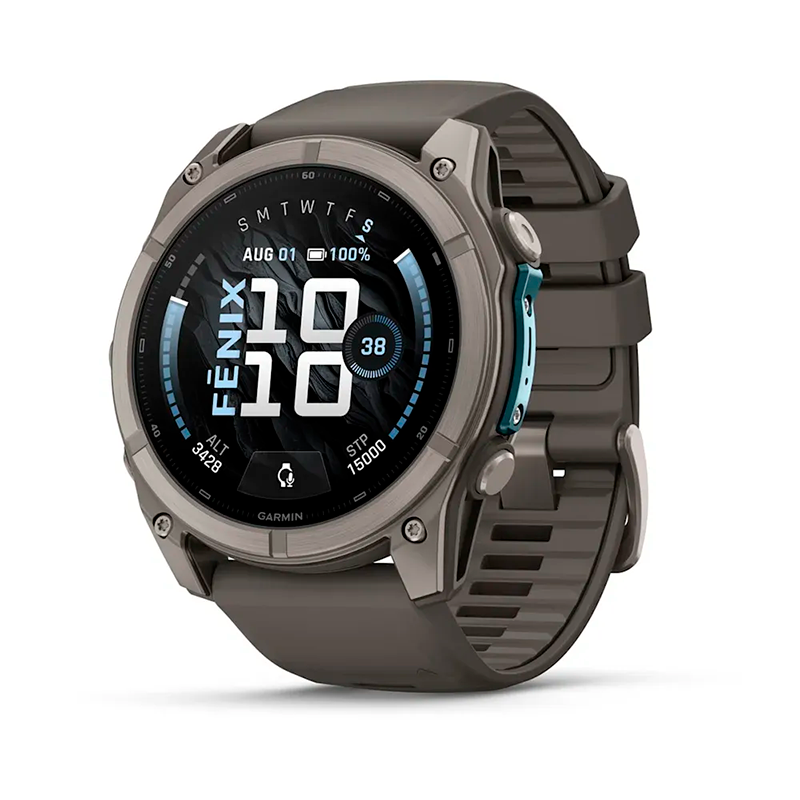 Умные часы Garmin Fenix 9 51mm, Titanium with Pebble Gray Silicone Band