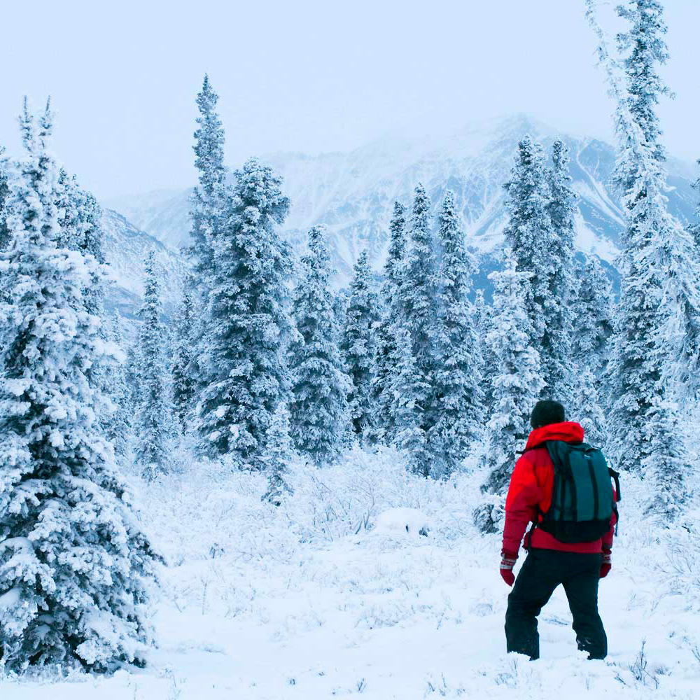 Товары для путешествий